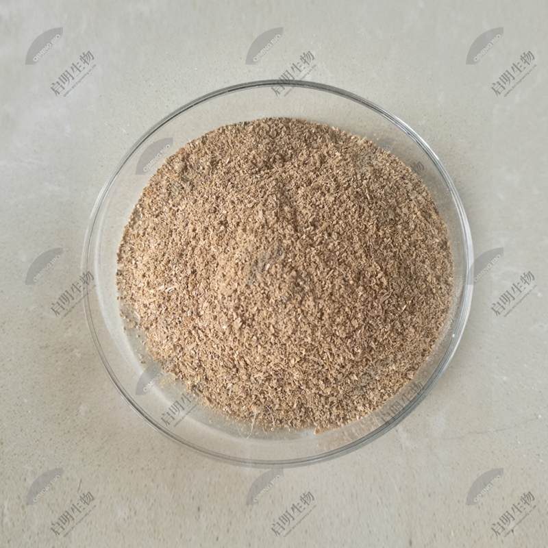 根霉、米根霉